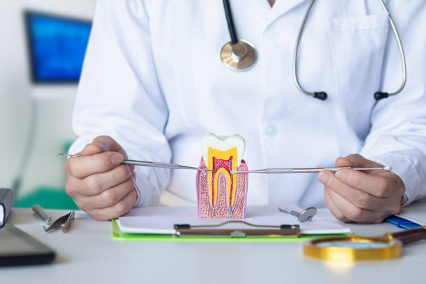 Professional Emergency Dental Service in MS